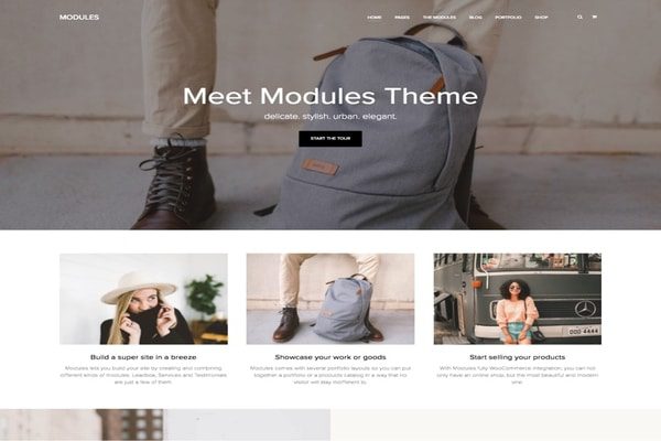 Modules  WordPress theme