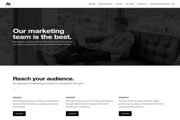 Monochrome WordPress theme