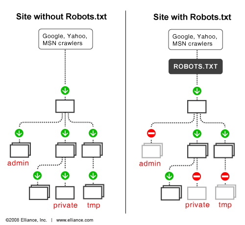 robot.txt file