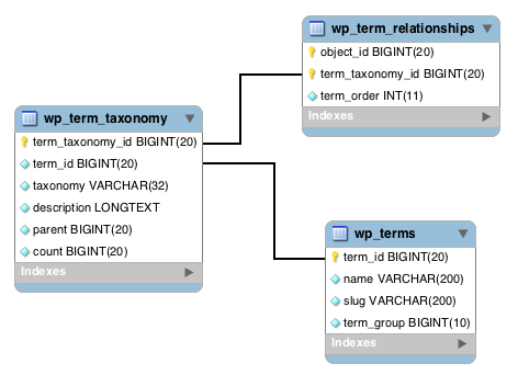 terms in wordpress