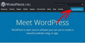WAMP WordPress