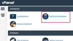 MySQL Database