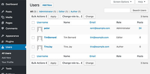 wordpress users