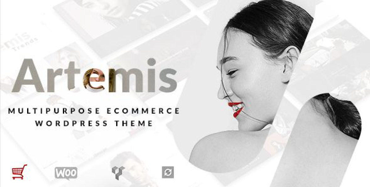 Artemis WooCommerce  Theme