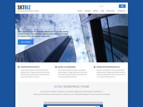 SKT-Biz