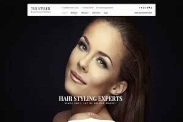 Styler WordPress theme