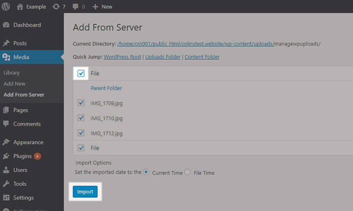 bulk upload files to wordpress