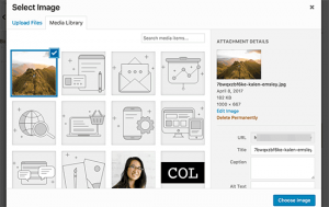 3 Simple Methods to Add a Background Image in WordPress Website - Best ...