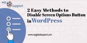 2 Easy Methods to Disable Screen Options Button in WordPress