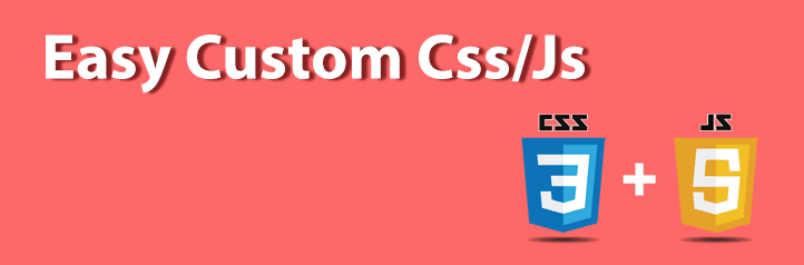 Easy Custom CSS_JS Plugin