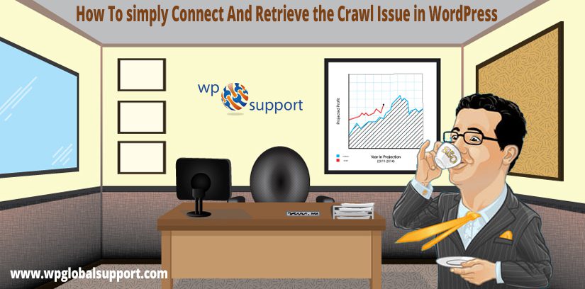 How To simply Connect And Retrieve the Crawl Issue in WordPress