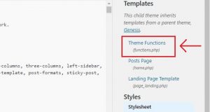 Best Tutorial To Paste Snippets From The Web Into WordPress. Info Guide