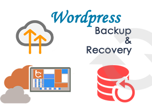 Backup and Recovery