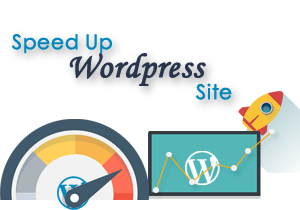 Speed Up WordPress Site