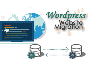 Website-Migration