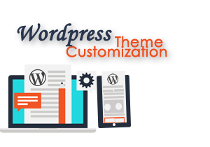 WordPress Theme Customization