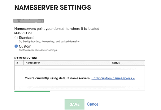 enter custom name server