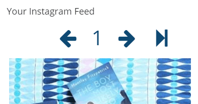 instagram feed widget