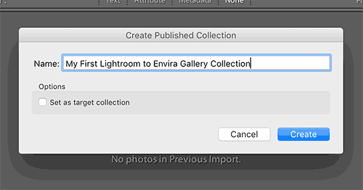 envira gallery collection