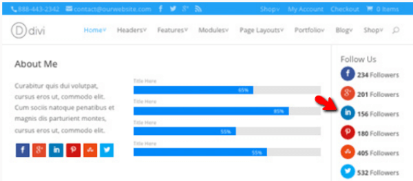 integrate linkedin wordpress, wordpress plugin