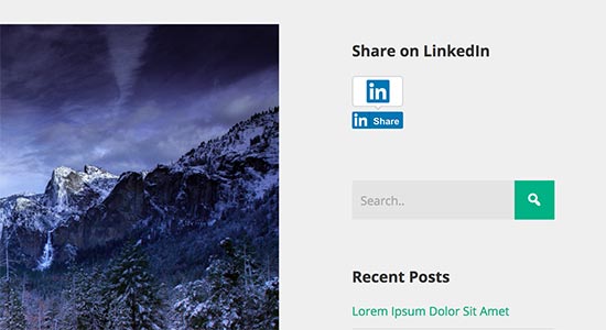 linkedin sidebar, Add LinkedIn Profile in WordPress