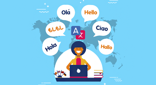 WordPress Multi Language Websites