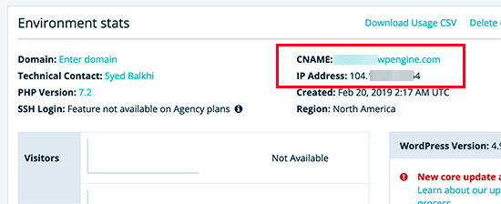 dns info