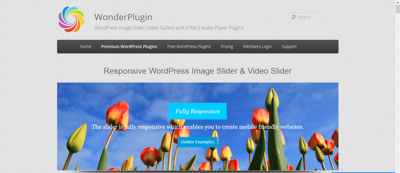 wonder plugin