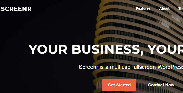 Screenr business theme