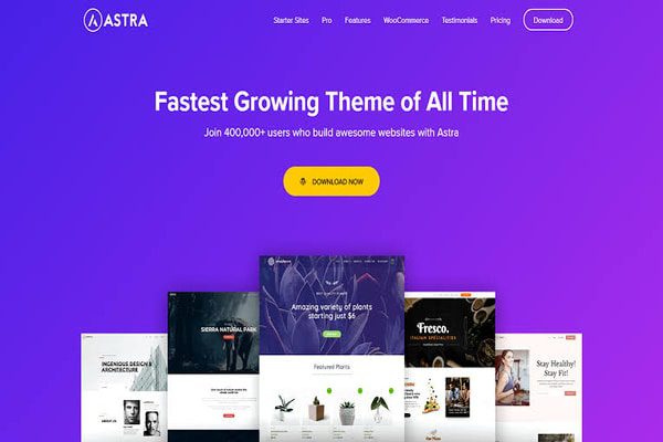 Astra WordPress theme 