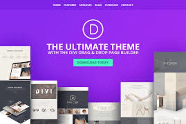 Divi educational WP theme 