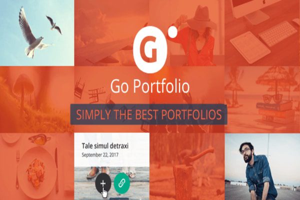 Go Portfolio plugin