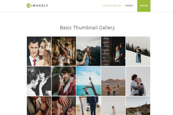 Nextgen gallery WP Plugin