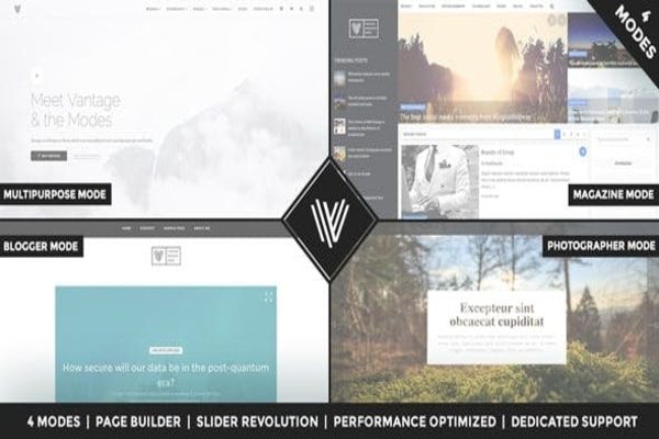 Vantage WordPress business theme 