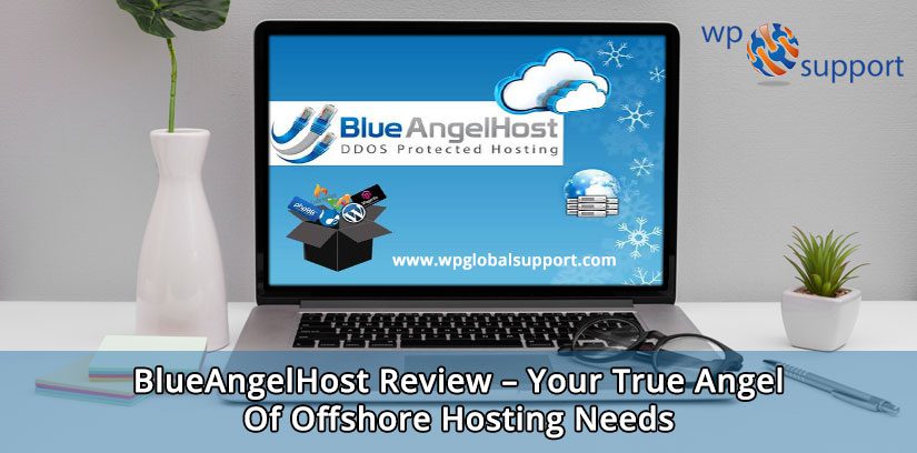 BlueAngelHost review